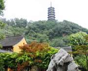 蒙城天气预报30天