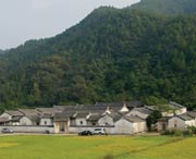 大埔天气预报10天